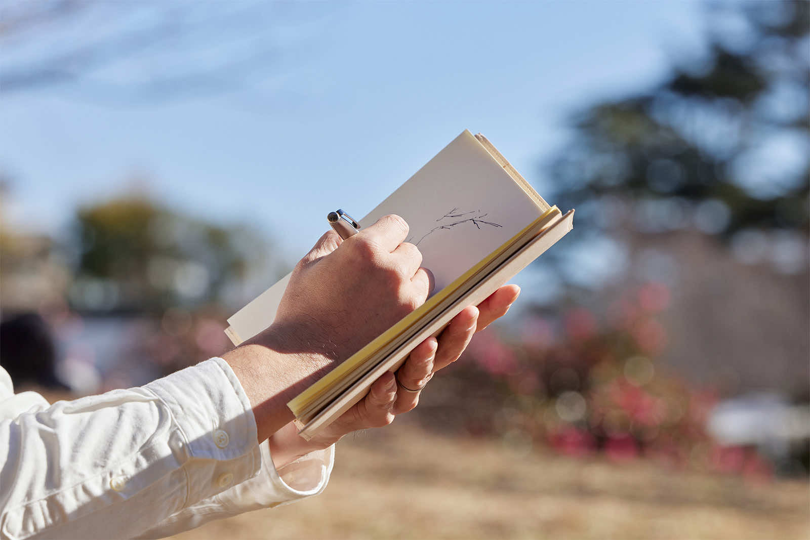 MD Notebook - Blank15290006 - Alcove & Nib Stationery