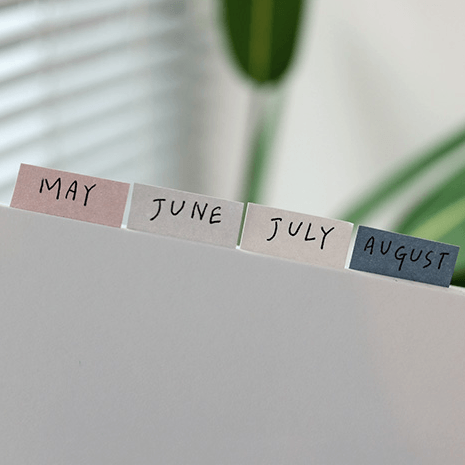 Sticky Memo - Daily Plan - 4 pads - Alcove & Nib Stationery