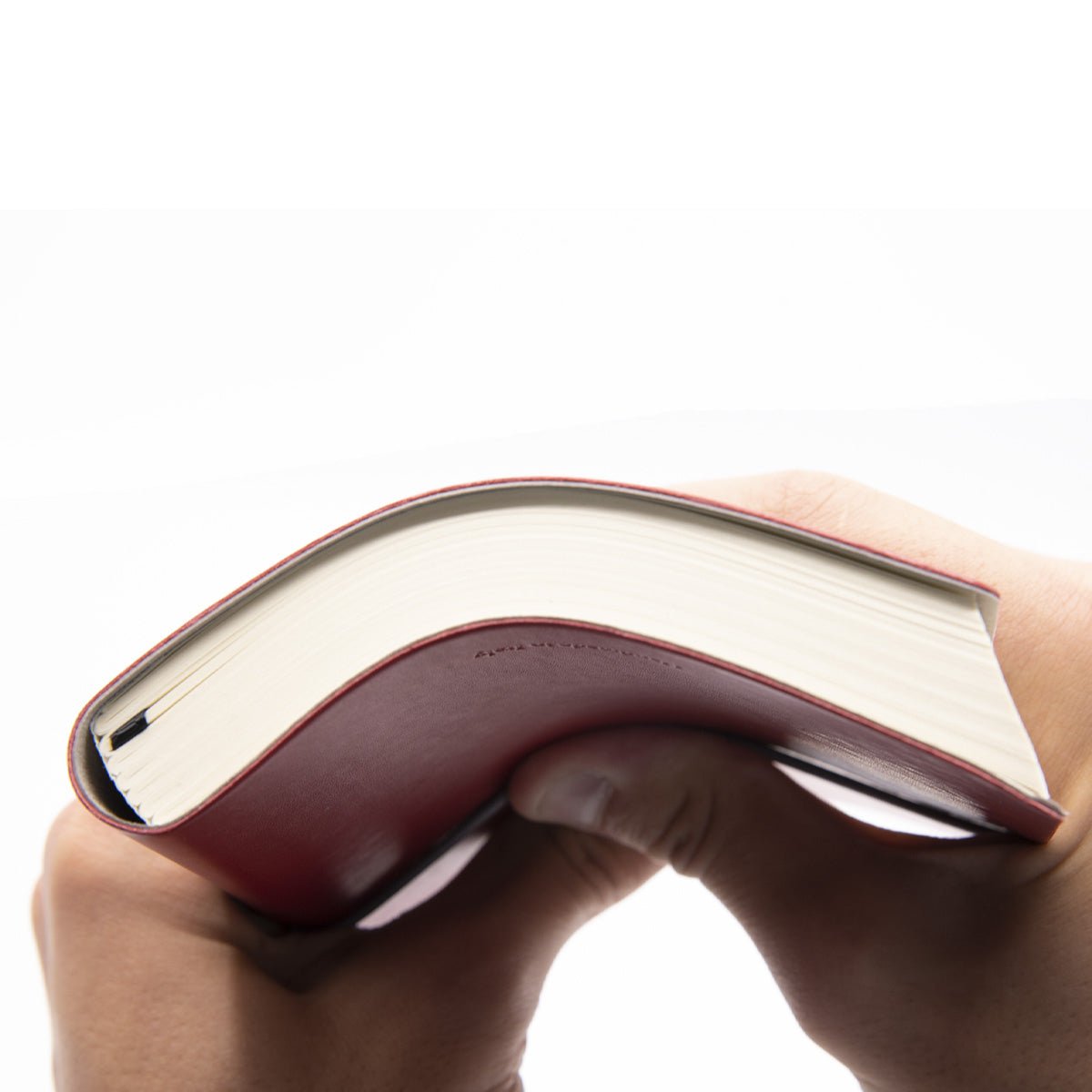 CIAK Classic Notebook A5 - Alcove & Nib Stationery